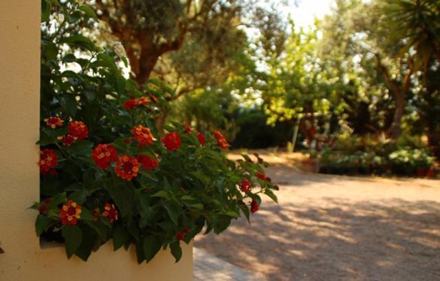 ألغيرو Rio Barca Bed And Breakfast المظهر الخارجي الصورة